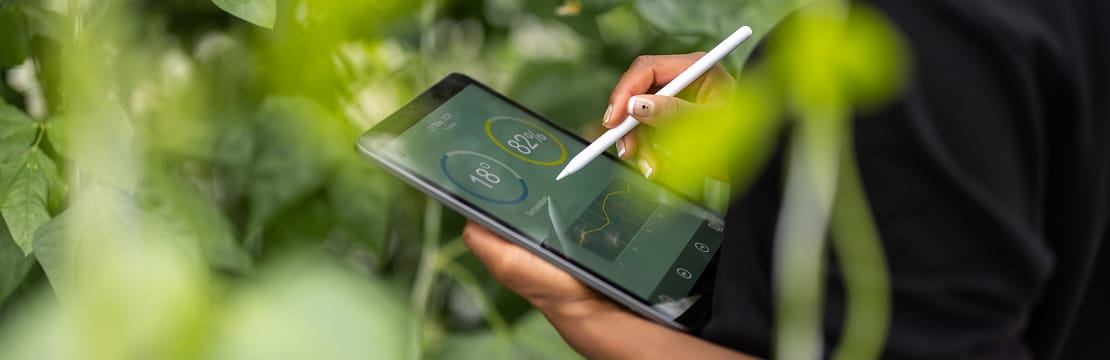 Businessperson holds a tablet and stylus pen. There are leaves and greenery in the foreground and background.