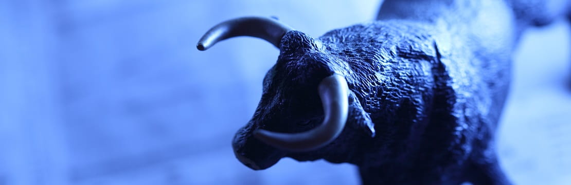Is this a bull market – and will it last?